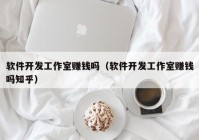 软件开发工作室赚钱吗（软件开发工作室赚钱吗知乎）