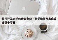 软件开发大学选什么专业（想学软件开发应该选哪个专业）