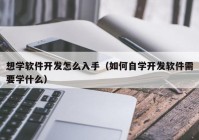 想学软件开发怎么入手（如何自学开发软件需要学什么）