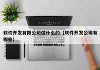 软件开发有限公司做什么的（软件开发公司有哪些）