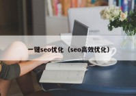 一键seo优化（seo高效优化）