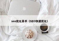 seo优化高手（SEO快速优化）