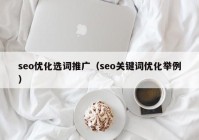 seo优化选词推广（seo关键词优化举例）