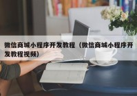 微信商城小程序开发教程（微信商城小程序开发教程视频）