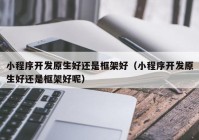 小程序开发原生好还是框架好（小程序开发原生好还是框架好呢）