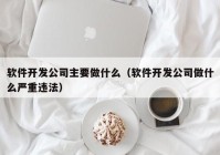 软件开发公司主要做什么（软件开发公司做什么严重违法）