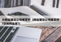 小网站建设公司哪家好（网站建设公司哪家好?该如何选择?）