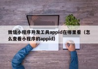 微信小程序开发工具appid在哪里看（怎么查看小程序的appid）