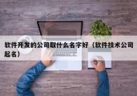 软件开发的公司取什么名字好（软件技术公司起名）