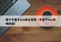 哪个不属于seo优化范畴（不属于seo范畴的是）