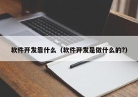 软件开发靠什么（软件开发是做什么的?）