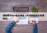 湖南长沙seo优化排名（长沙网站优化快速排名）