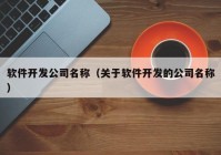 软件开发公司名称（关于软件开发的公司名称）