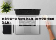 北京学软件开发就业怎么样（北京学软件编程怎么样）