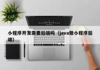 小程序开发需要后端吗（java做小程序后端）