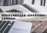 软件开发公司做什么业务（软件开发公司做什么业务比较好）