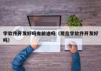 学软件开发好吗有前途吗（现在学软件开发好吗）