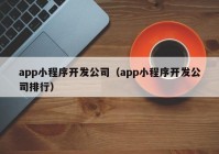 app小程序开发公司（app小程序开发公司排行）