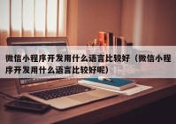 微信小程序开发用什么语言比较好（微信小程序开发用什么语言比较好呢）