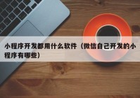 小程序开发都用什么软件（微信自己开发的小程序有哪些）