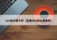 seo优化哪个好（正规SEO优化哪家好）