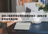 深圳小程序开发公司兴田德润简介（深圳小程序专业开发公司）