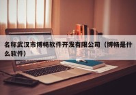 名称武汉市博畅软件开发有限公司（博畅是什么软件）