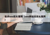 提供seo优化案例（seo网站优优化案例）