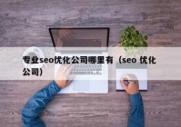 专业seo优化公司哪里有（seo 优化 公司）