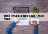 微信小程序开发id（微信小程序开发id码在哪看）