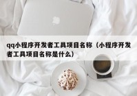 qq小程序开发者工具项目名称（小程序开发者工具项目名称是什么）