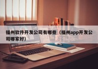 福州软件开发公司有哪些（福州app开发公司哪家好）