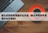 嵌入式软件开发是什么行业（嵌入式软件开发是什么行业的）