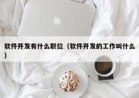 软件开发有什么职位（软件开发的工作叫什么）