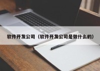 软件开发公司（软件开发公司是做什么的）