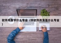 软件开发学什么专业（学软件开发是什么专业）