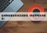 盐城网站建设实训总结报告（网站管理实训报告）