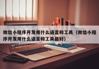 微信小程序开发用什么语言和工具（微信小程序开发用什么语言和工具最好）