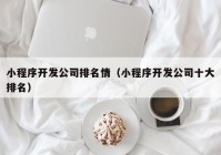 小程序开发公司排名情（小程序开发公司十大排名）