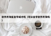 软件开发能自学成才吗（可以自学软件开发吗）