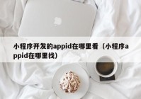 小程序开发的appid在哪里看（小程序appid在哪里找）