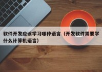 软件开发应该学习哪种语言（开发软件需要学什么计算机语言）