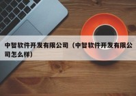 中智软件开发有限公司（中智软件开发有限公司怎么样）