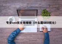 专业seo优化有哪些（什么是SEO优化）