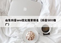 山东抖音seo优化搜索排名（抖音SEO推广）