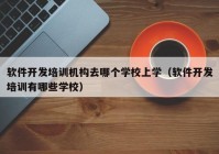 软件开发培训机构去哪个学校上学（软件开发培训有哪些学校）